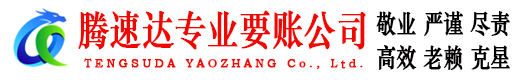 岳西讨账公司
